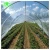 Import Agricultural vegetable film greenhouse with PO film from China