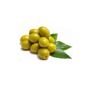 Agriculture Organic New Season Green Fresh Olives For Sale Quality