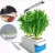 Import Amazon 2019 Intelligent Planting Garden in A Flowerpot from China