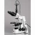 Import AmScope Supplies 40X-2500X Infinity Plan Research Compound Microscope with 8MP USB Digital Camera from China