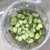 Anubias nana variegated- InVitro plants