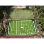 Artificial Grass Turf for Football/Soccer Field Sport Flooring