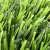 Import Artificial Grass Yarn Lawn For Landscaping Eco Friendly from China
