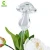 Import Automatic Glass Watering Globe, Self Watering Tools for Flowers from China