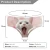 Import Baby Monkey 3D Digital Printing Sexy Milk Fiber Briefs Underwear Youth Panties For Women Teen Girl Lingerie Christmas Gift from China
