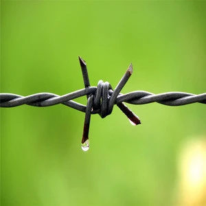 Barbed wire rolls price Anping manufacture