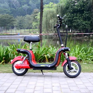 Battery capacity  48v 8ah lithium battery popular electric scooter