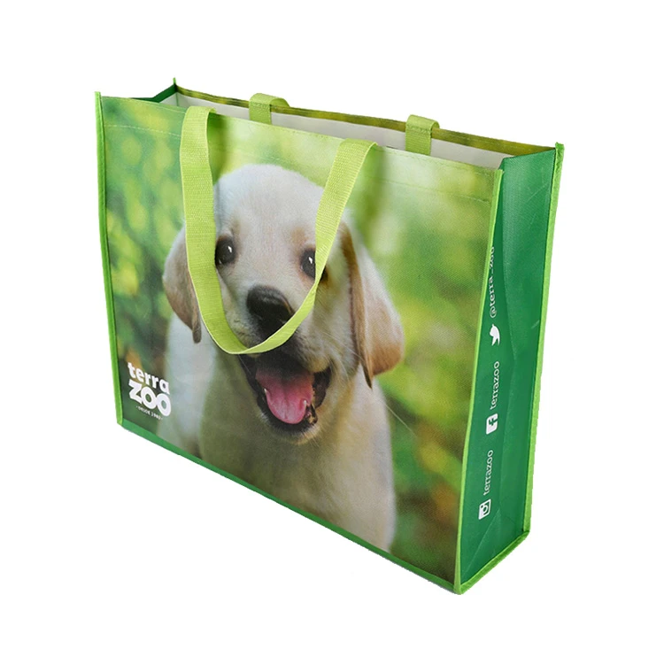Best Buality Full Color Printing Laminated Eco Friendly Non Woven Bags