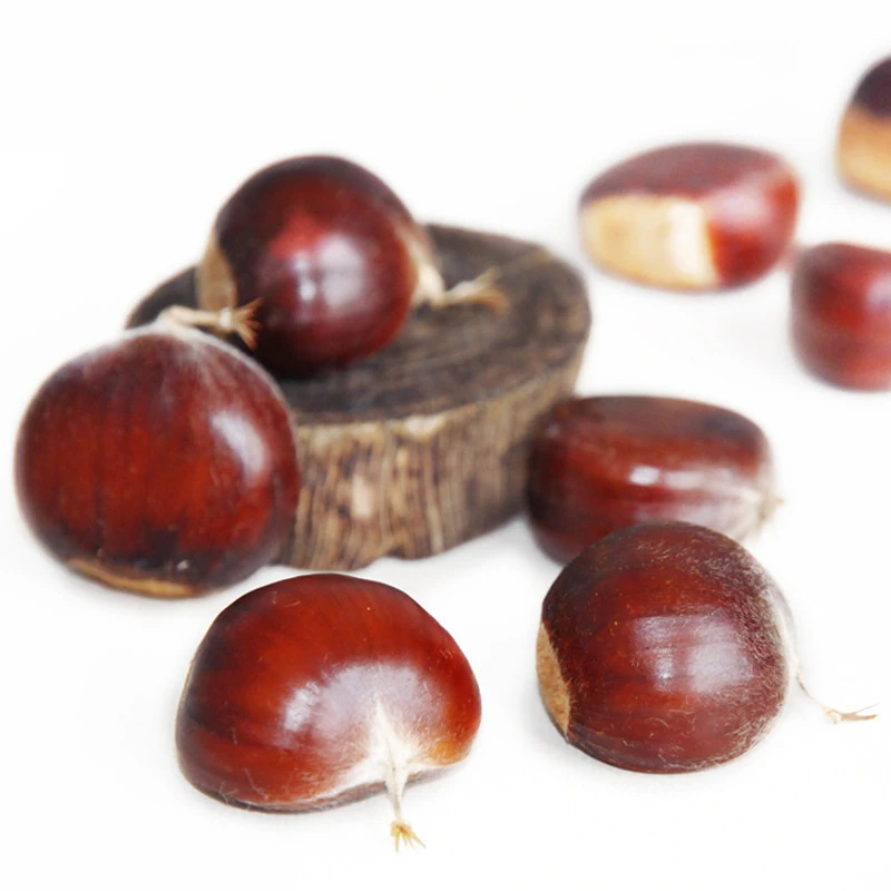 best Chinese New Crop fresh organic healthy  delicious chestnut