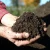 Import Best organic fertilizers soil conditioner granules bio organic fertilizer prices from China