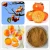 Import Best price persimmon leaves powder tea bag diospyros kaki leaf extract from China