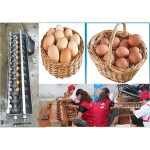 Best Quality Egg Washer Machine For Sale
