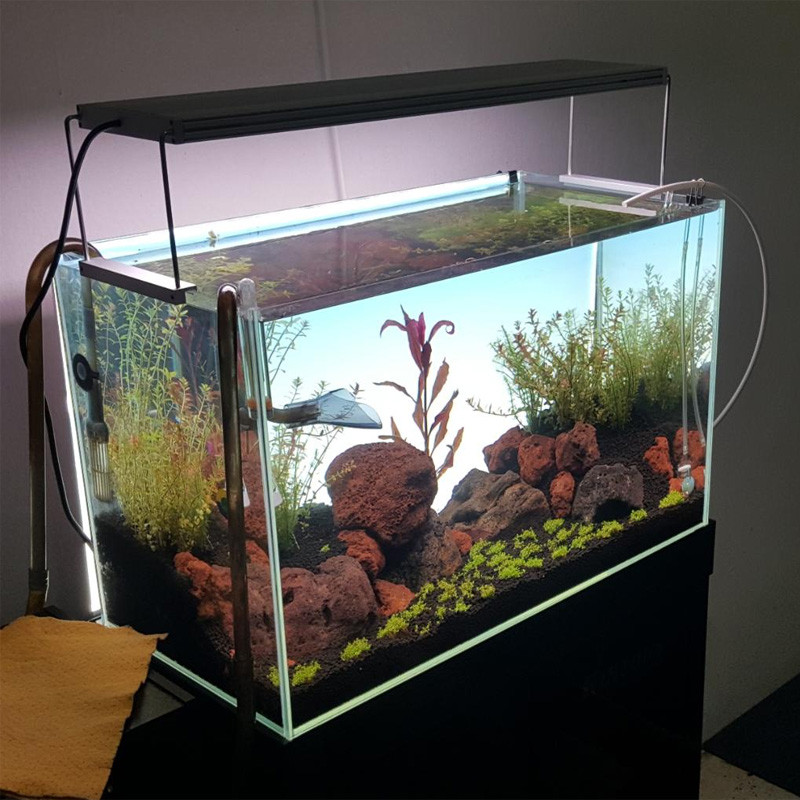 Best Sell LED Aquarium Lamp Plants Growth Aquarium Lighting For Fish Tank  600*450mm