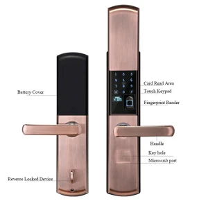 Bilixo Latest Version  2020 smart fingerprint door lock digit card keyless nfc