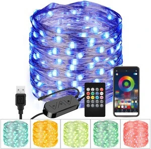 Bluetooth App Controlled 100 LED USB Fairy Light Multi Color Changing 33FT RGB LED String Light with 20-Key Remote Control