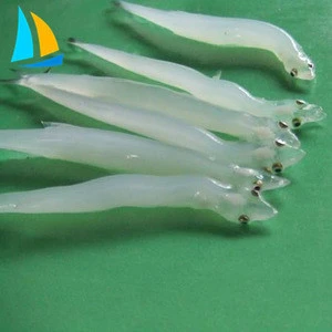 BQF high quality fresh frozen silver fish for sale