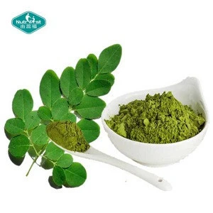 Bulk Organic Moringa Powder Moringa Leaf Extract for Weight Less