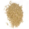 Bulk Organic Quinoa