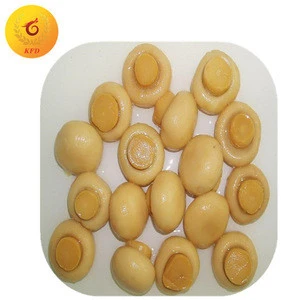 canned mushroom whole/canned mushroom PNS/canned food from China