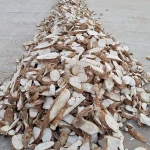 Cassava Chips, Cassava Dried Tapioca Chips in Best Price