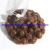 Import Chestnut New Chestnut China Fresh Chestnut Sweet Chestnut Hebei Shandong Dandong Chestnut Bulk Packing Wholesale 1kg Small Packing Top Quality Low Price Premium from China