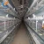 Import chicken chicken quail cages for sale from China