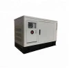 China 10KW Small Soundproof Portable Methane / Natural Gas Power Turbine Generator Price for Home