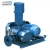 Import China  zhaner professional functions of air blower price from China
