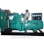 Import China diesel engine electricity generator for sale from China