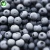 Import China Export Wholesale IQF Frozen Blueberry Fruit from China