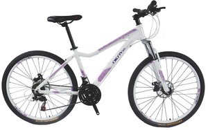 China factory 26 inch 21 speed wholesale alloy mountain bicycle for sale