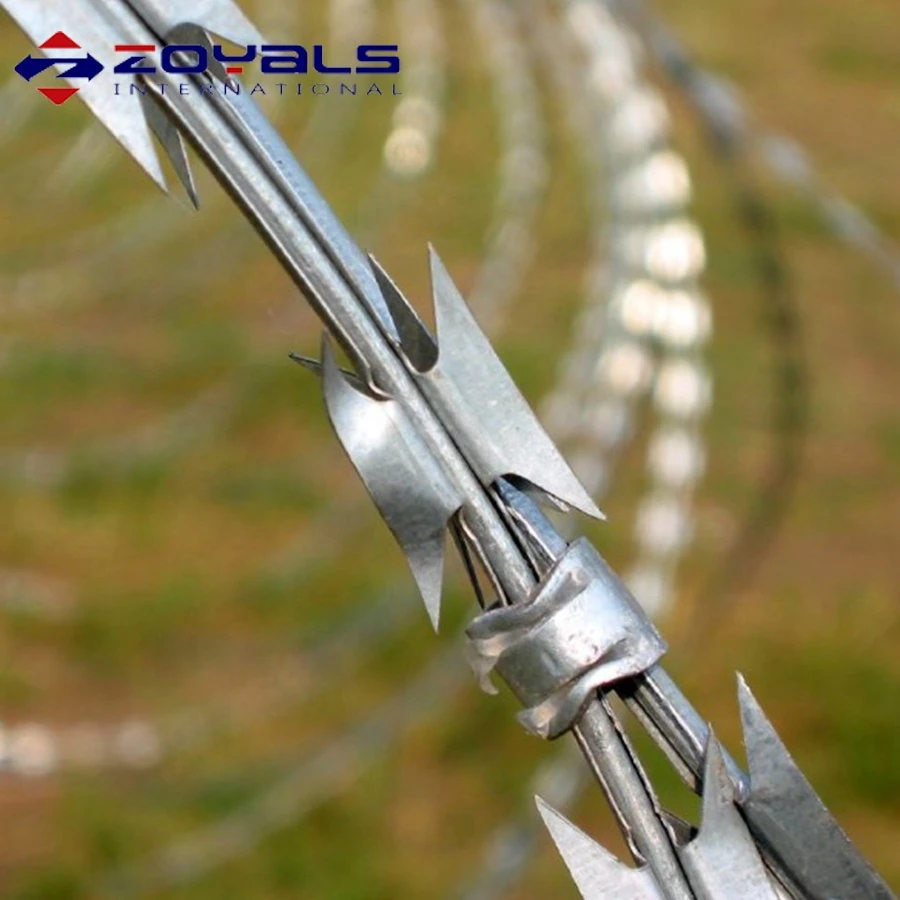 China Manufacture Hot Dipped Galvanized Concertina Razor Barbed Wire