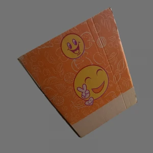 China Manufacturer Lightweight Cardboard Shipping Boxes Corrugated Cartons Box