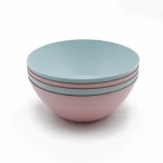 China Oem ceramic bowl with bamboo bowls fruit salad set