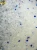 Import China Pet Dust Free Crystal Cat Litter from China