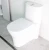 Import Chinese bathroom Ceramic one Piece S- Trap WC Toilets Cupc SA-2258 from China