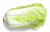 Import Chinese Cabbage/Fresh Cabbage/ Fresh Exotic Vegetables !! from India