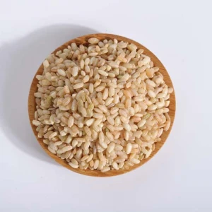 Chinese manufacturers supply Germinated Brown Rice
