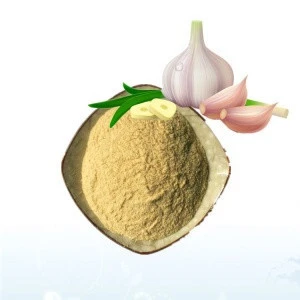Chinese supplier wholesale organic Odorless  dried garlic raw powder as food additive in dairy products