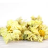 Chrysanthemum Flower - HB Yellow Chrysanthemum Flowers Tea for Health