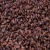 Import Cocoa Beans Ariba Cacao beans Dried Raw Cacao Fermented Cocoa Beans from China