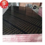 Competitive Price 12mm/18mm Black or Brown Film Faced Plywood