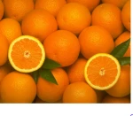 Competitive Price Organic Fresh Mandarin Fruit