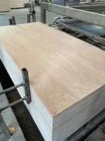 Container Flooring Plywood thickness 28mm for Truck and Container Floor Container Flooring Plywood to Thailand depot