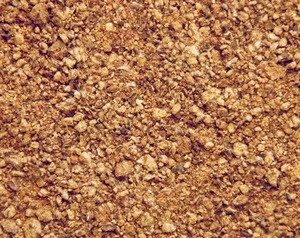 Cotton Seed Meal (Animal Feed)