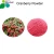 Import Cranberry Extract powder/health drink supplement/Vaccinium Macrocarpon/Proanthocyanidin from China