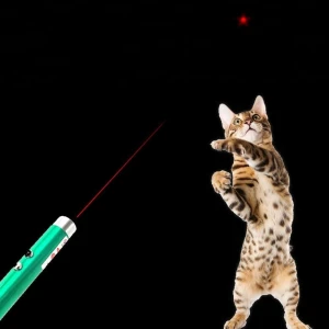 Crazy Cat Chase Toy Interactive LED Light Pet Toy Laser Pointer Pen Light Training Tools