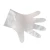 Import Custom Biodegradable and compostable gloves, disposable food service plastic gloves from China