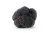 Import Detan Fresh Wild Black Chinese Truffle for sale from China