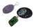 Import Digital Voice Recorders Keychain With Build-in 4 Colours LED Flashlight from China